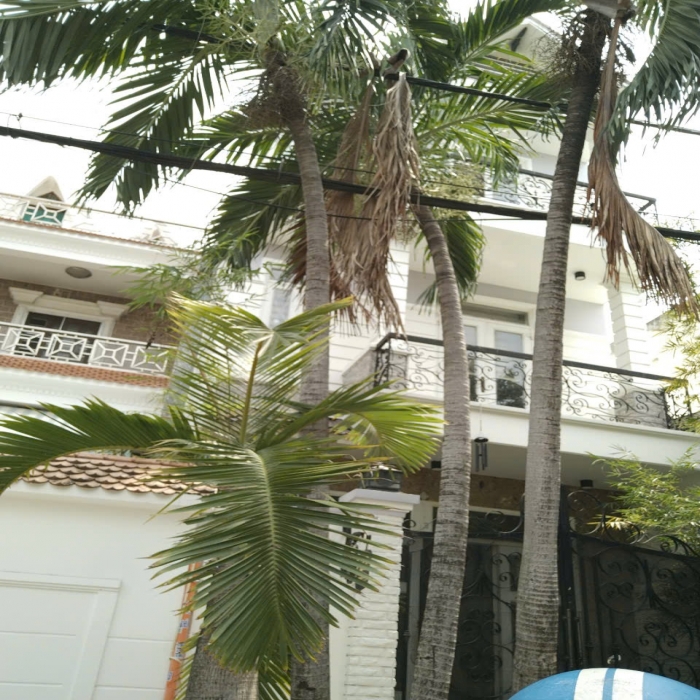 BIỆT THỰ MẶT TIỀN D16, TÂY THẠNH, TÂN PHÚ, 5x19m, 4 TẦNG, THÔNG MỌI NGÃ - 2